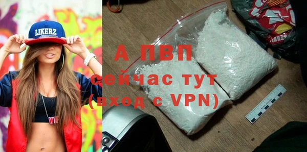 СК Ладушкин