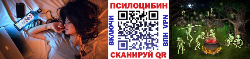 Псилоцибиновые грибы Psilocybe  мориарти формула  Кисловодск 