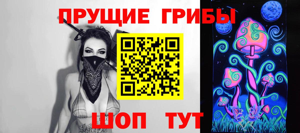 Кисловодск  Галлюциногенные грибы MAGIC MUSHROOMS  Вход с VPN  купить наркотик  Псилоцибиновые грибы Magic Shrooms 