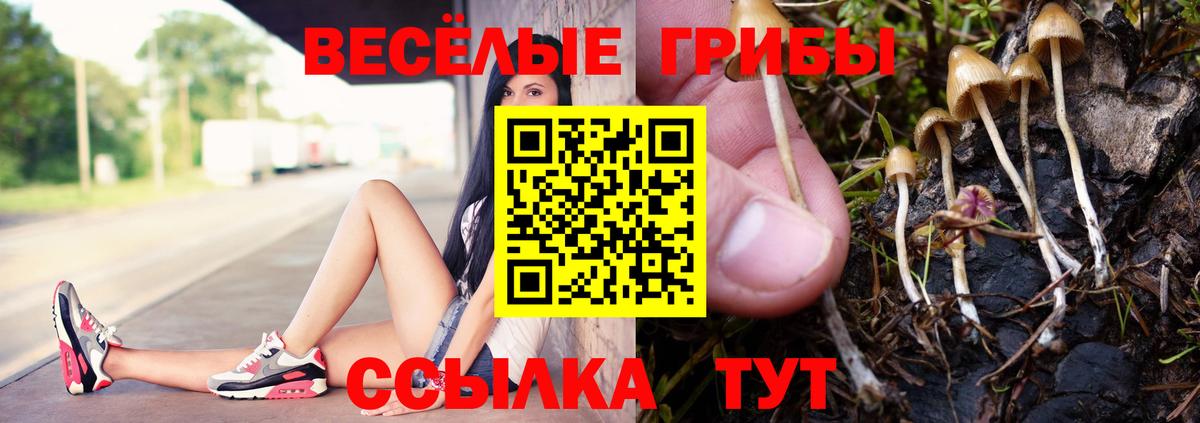 Галлюциногенные грибы мицелий Кисловодск