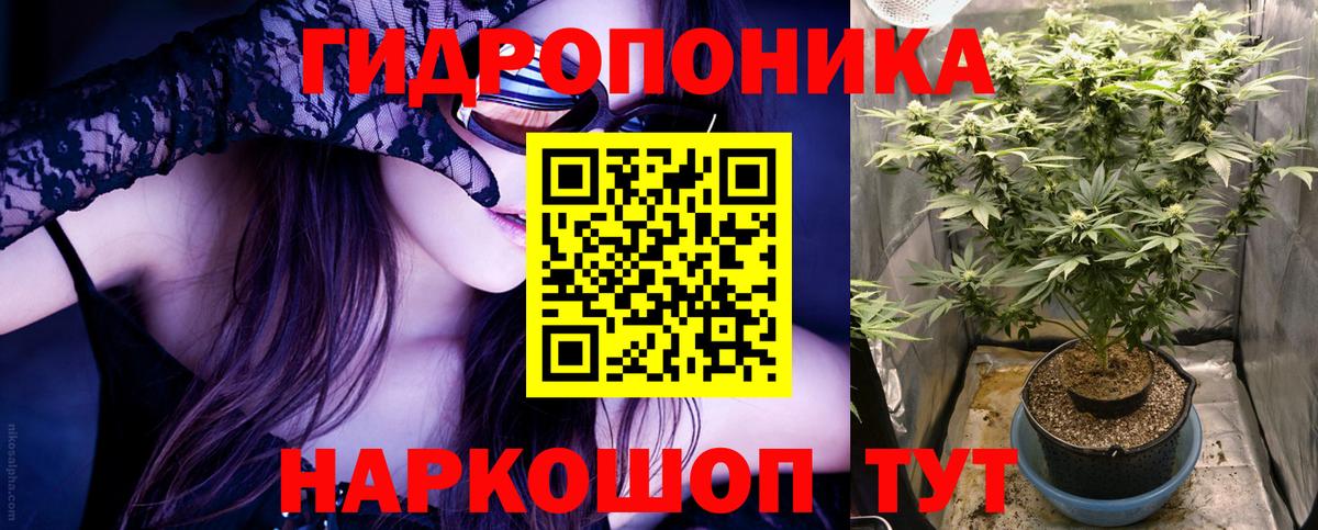 Шишки марихуана марихуана  Вход с VPN  Кисловодск  Бошки марихуана сатива 